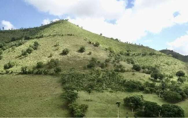 finca la piña